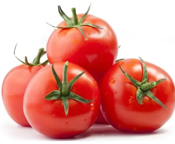 TOMATE